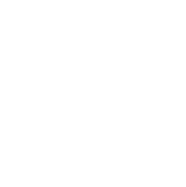 LiveWisdom Logo
